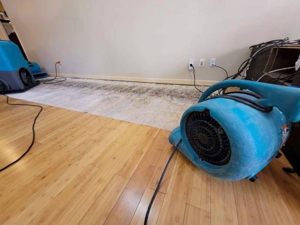 Professional Flood Damage Cleanup technician working in Somers, NY